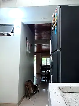 sebasxx97 online show from 02-11-26, 11:59