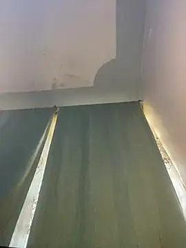 Snapshot of Cherrytowild chatting on 03-06-25, 06:19 Cherrytowild online show from 03-06-25, 06:19