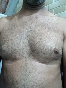 Sergipano fogozinho online show from 11-12-25, 03:07