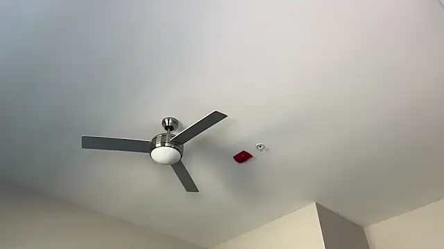 Snapshot of ElenaErickson chatting on 03-19-25, 08:32 ElenaErickson online show from 03-19-25, 08:32