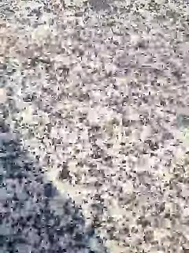 Snapshot of Beijing2000 chatting on 01-30-25, 12:39 Beijing2000 online show from 01-30-25, 12:39