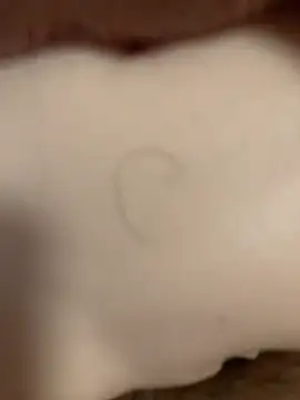 Snapshot of Beijing2000 chatting on 11-08-25, 12:55 Beijing2000 online show from 11-08-25, 12:55