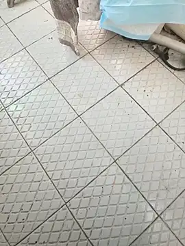 Beijing2000 online show from 11-26-25, 06:03