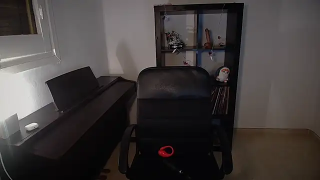 Windy butterfly online show from 11-07-25, 05:35