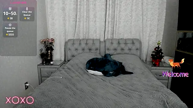 rocky foxy online show from 01-19-25, 01:00