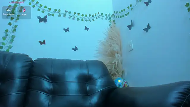 Amani Bakir online show from 03-17-26, 11:57