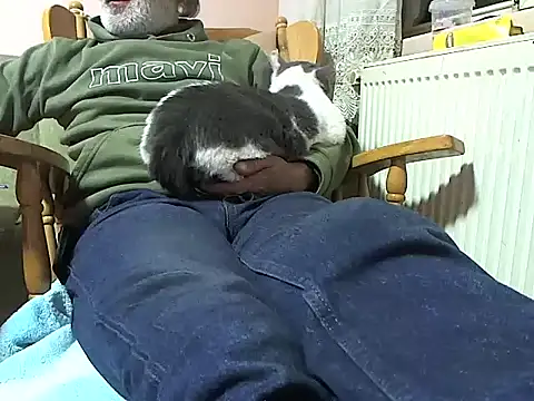 zormen355 online show from 11-13-25, 06:29