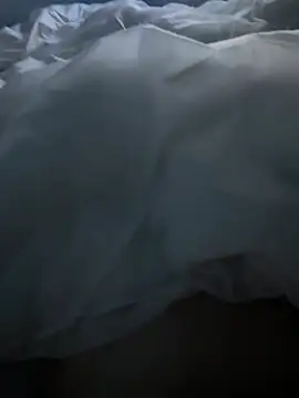 Pongobongo40 online show from 02-26-26, 01:37