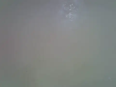 Rasta tattooed online show from 04-28-26, 03:00