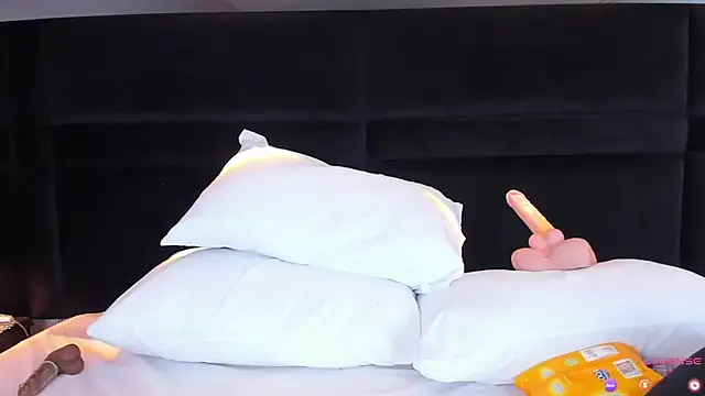 Snapshot of MiaStor chatting on 01-29-25, 08:46 MiaStor online show from 01-29-25, 08:46