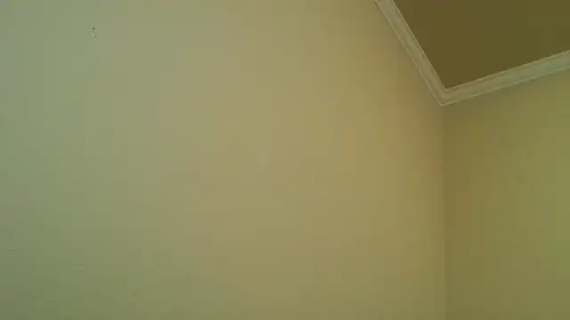 YelpedAverting online show from 12-17-25, 12:49