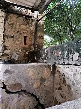 the titis outdoors online show from 12-05-25, 06:37