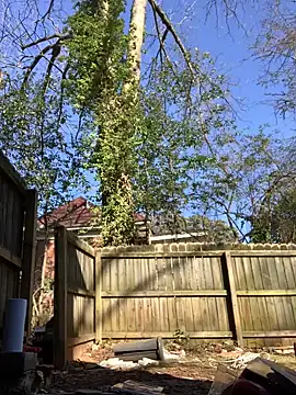 Snapshot of trash4cash chatting on 01-28-25, 08:04 trash4cash online show from 01-28-25, 08:04