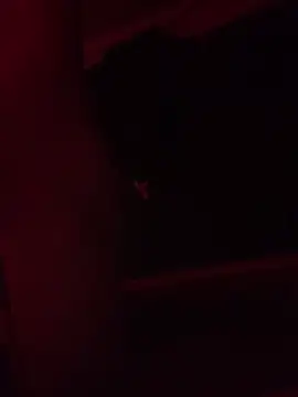 Snapshot of trash4cash chatting on 02-09-25, 11:25 trash4cash online show from 02-09-25, 11:25