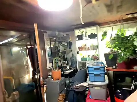 Snapshot of trash4cash chatting on 01-13-26, 10:04 trash4cash online show from 01-13-26, 10:04