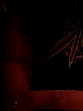 ySqmbVanbe online show from 02-06-26, 08:29