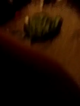 ySqmbVanbe online show from 02-16-26, 01:35