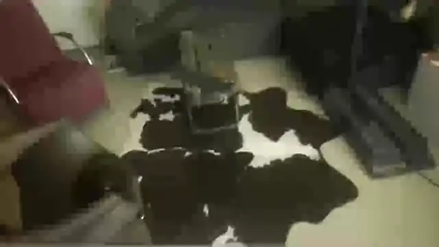 oopsxx online show from 12-22-25, 01:57