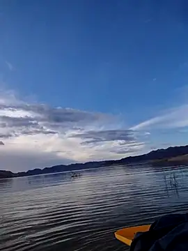 FloppyPickle4u online show from 02-13-26, 03:52