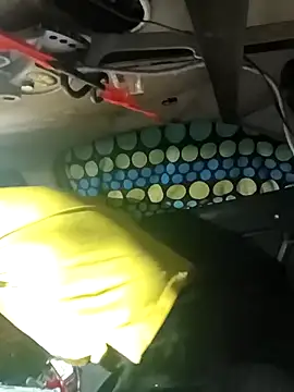 FloppyPickle4u online show from 03-06-26, 03:36