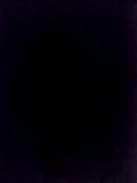 Snapshot of BongChannel chatting on 01-01-25, 11:40 BongChannel online show from 01-01-25, 11:40