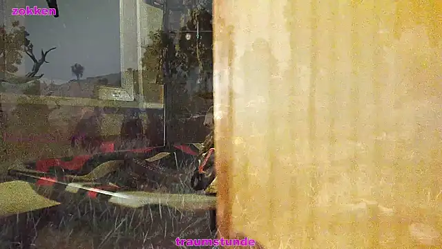 Snapshot of BongChannel chatting on 01-21-25, 06:43 BongChannel online show from 01-21-25, 06:43