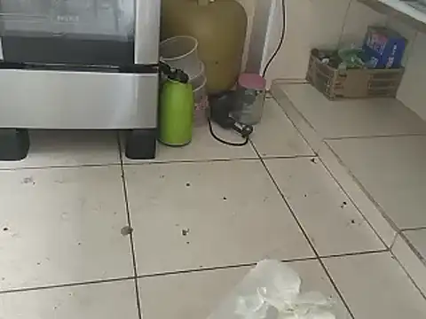 pikalindaxx online show from 01-15-25, 04:11