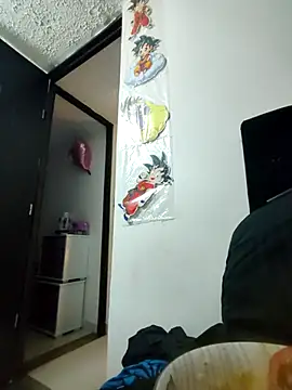 Sasha smith23 online show from 11-29-25, 01:08