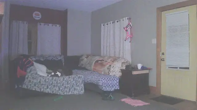 Smurfschmidt online show from 03-13-26, 03:13