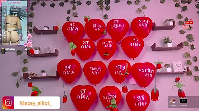 macey elliot  online show from 02-15-25, 02:55