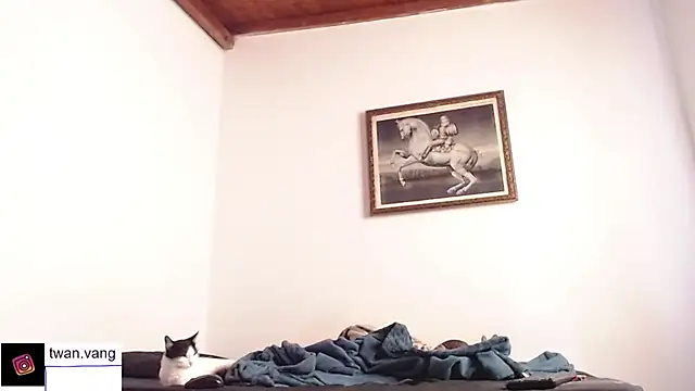 Trix fiore oficial online show from 11-14-25, 03:55