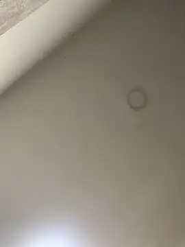 Zarah Blare online show from 01-14-25, 11:27