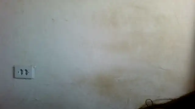 By Aninha online show from 02-22-25, 06:08