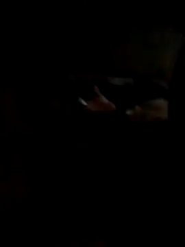 Snapshot of Hedygostozin chatting on 03-14-26, 10:32 Hedygostozin online show from 03-14-26, 10:32