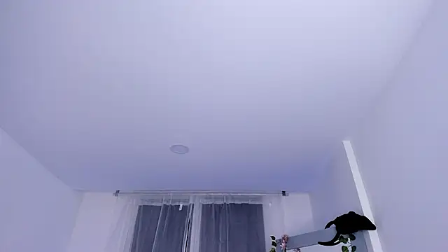 Snapshot of _mia_collins_b_ chatting on 01-29-25, 01:48 mia collins b online show from 01-29-25, 01:48