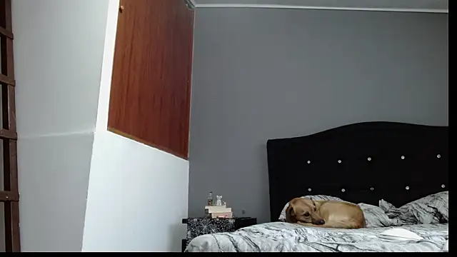 Emilia 1995 online show from 01-30-25, 10:41