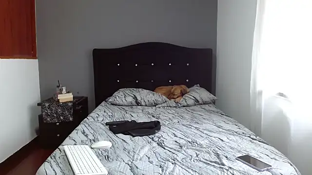 Emilia 1995 online show from 02-13-25, 12:43