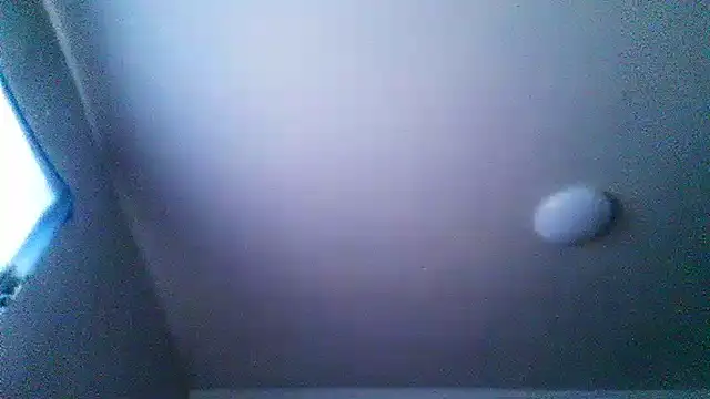 BalticPallor online show from 03-10-26, 08:36