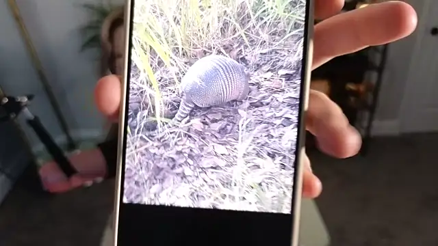 Snapshot of rodeobrii chatting on 11-17-25, 03:34 rodeobrii online show from 11-17-25, 03:34