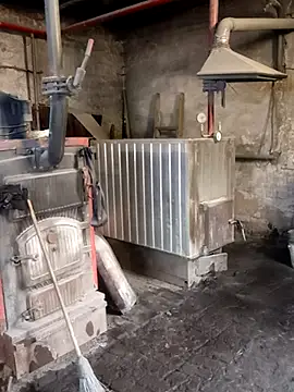 MityaXLoves online show from 04-13-26, 05:46