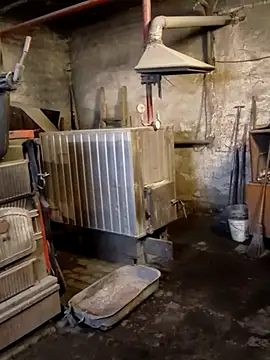 MityaXLoves online show from 04-17-26, 06:44