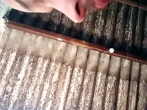 jhonwins01 online show from 11-19-25, 02:39