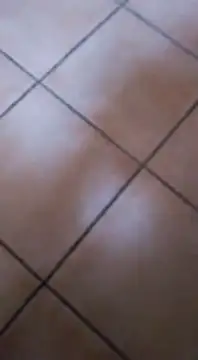 ZorraidaGiroNina online show from 02-03-25, 04:10