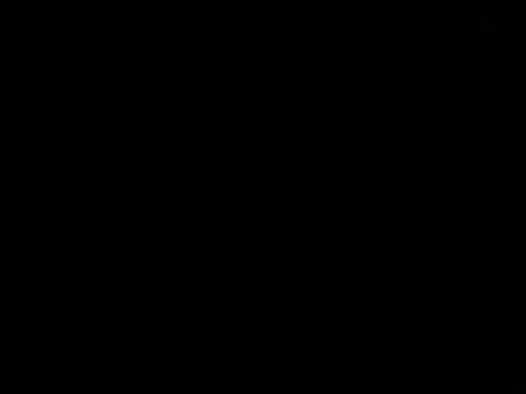 ArtemMR online show from 12-13-24, 10:34