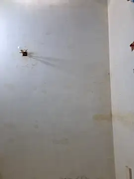 Snapshot of Derry_Cooper chatting on 02-08-26, 06:55 Derry Cooper online show from 02-08-26, 06:55