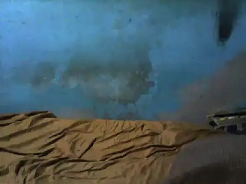 Snapshot of little__joy chatting on 03-01-25, 02:37 little  joy online show from 03-01-25, 02:37