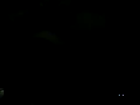 Everydayonli online show from 02-06-25, 12:54