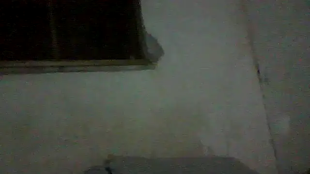 PAUBRASILEIRORJ online show from 07-17-26, 01:56
