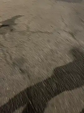 ToAnWTW online show from 02-24-26, 09:57