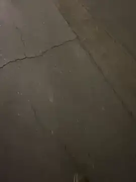 ToAnWTW online show from 03-25-26, 12:49